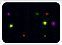 img-diagnostico01